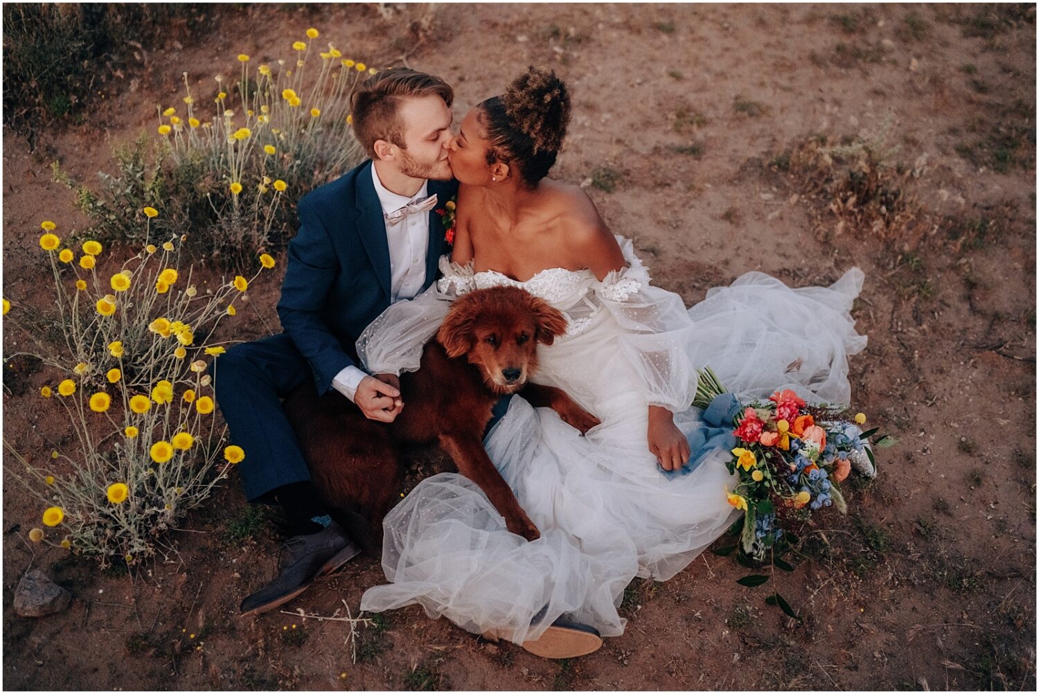 elopement couple with their dog in Phoenix Arizona