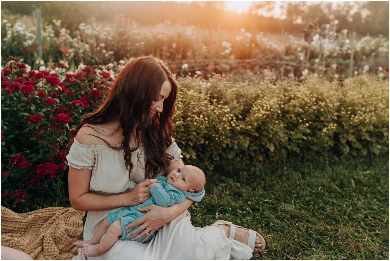 Edmonton family photographer session in a flower farm with a newborn