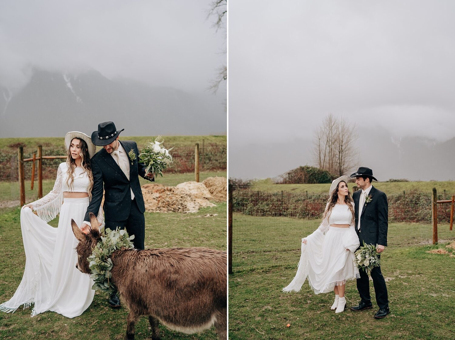 Abbotsford Wedding Photographer bride and groom with donkeys at Fraser River Lodge