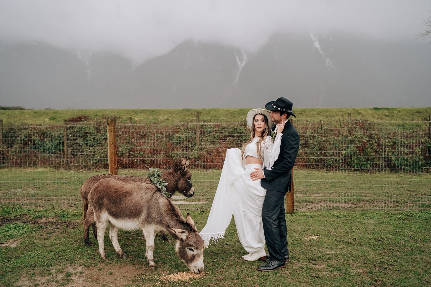 Abbotsford Wedding Photographer bride and groom with donkeys at Fraser River Lodge