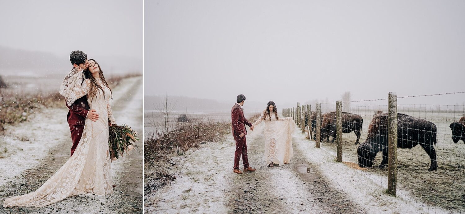 Abbotsford Wedding Photographer bride and groom in the snow with the bison at Fraser River Lodge by Seanna Leaf Photography